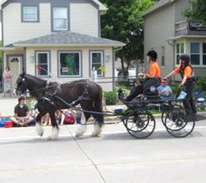 Sold horse Duncan pulling carriage with 2 people