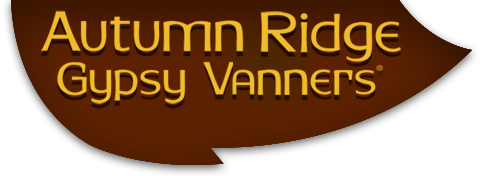 Autumn Ridge Gypsy Vanners