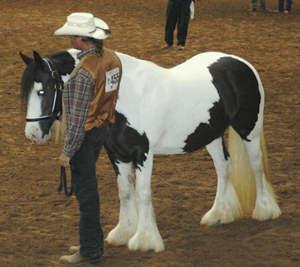 man standing next to horse