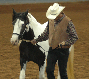 horse being led by man